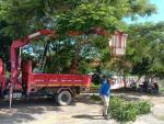 ดำเนินการตัดแต่งกิ่งไม้ ต้นไม้ที่กีดขวางสายไฟพาดผ่านบริเวณข้