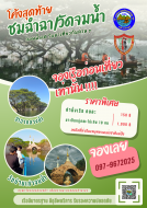 โค้งสุดท้าย...ชมฉำฉาและวัดบ้านเก่าจมน้ำ ก่อนน้ำลด ติดต่อโทรจ